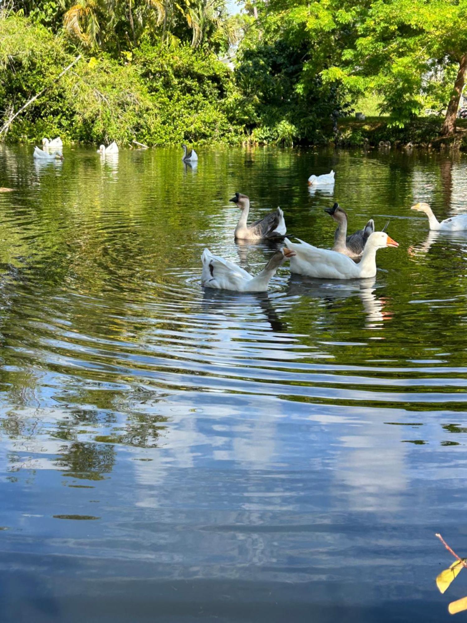 The Sanctuary House West Palm Beach Zewnętrze zdjęcie